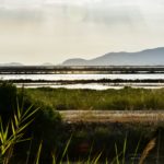 Presq’île de Giens, La Capte, Salines de Pesquiers