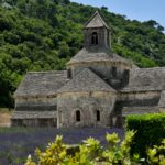 Abbazia di Sènanque, lavanda